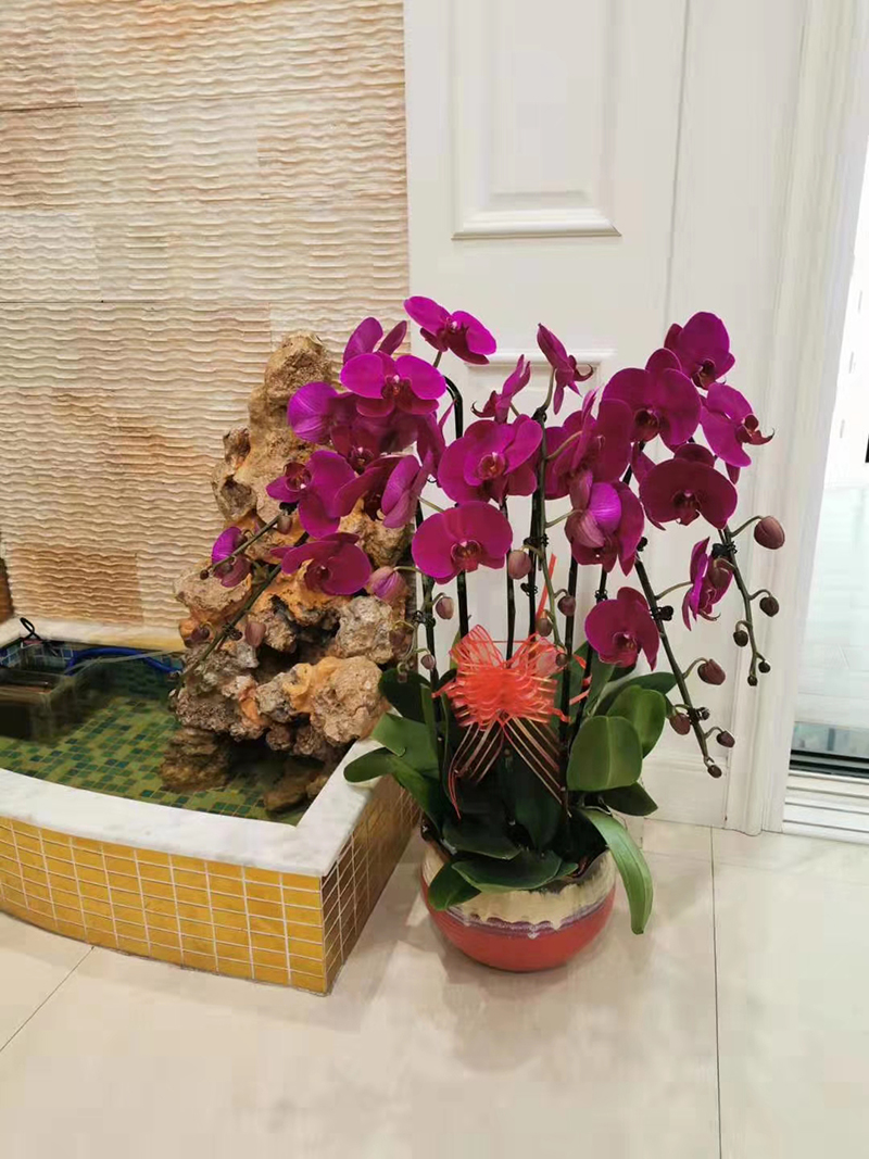 易路榮昕獲客戶(hù)贈(zèng)送錦旗“服務(wù)熱情，技術(shù)精湛”還有“友誼之花"